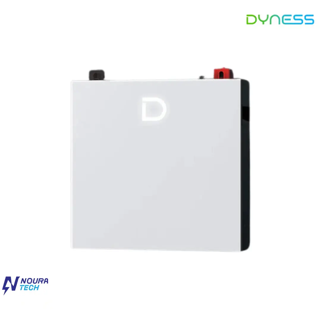 باتری داینس Dyness DL5.0C Pro باتری داینس Dyness DL5.0C Pro - تصویر 1